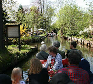Kahnfahrt durch den idyllischen Spreewald