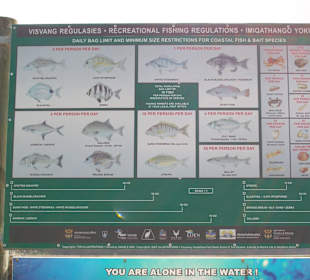 Fischarten in der lagune