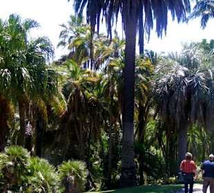 Park Melbourne 