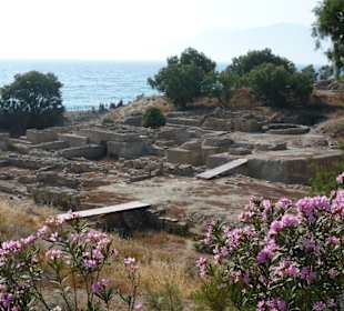 Auf zum Komos Beach