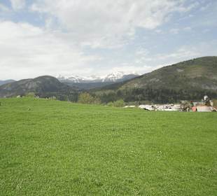 Zielone Alpy Julijskie