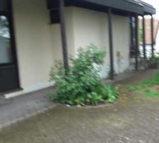 Rathaus Wittlensweiler