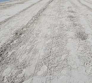 Strand Alcudia