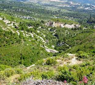 Blick von der Route des Crêtes auf das Hinterland