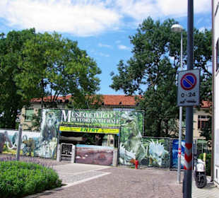 Auch da Reptilien - Show