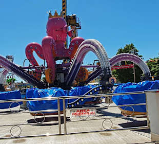 Nicht Empfehlenswert zu langsam