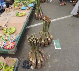 Auf dem Markt von Suva