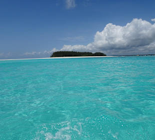 Mnemba Island