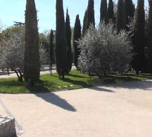Bosque del Recuerdo
