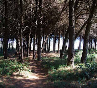 Vorne dann der Strandbereich FKK