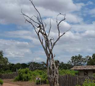 Zufahrt zu unserem zweiten Zeltcamp