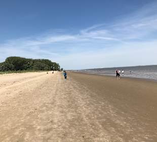 Das ist ein Strand da sind auch Hunde willkommen