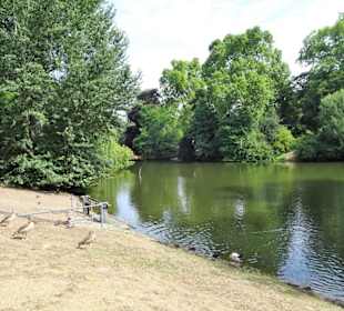 Rundgang durch den Hofgarten Düsseldorf