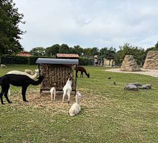 Irrland Bauernhof-Erlebnisoase