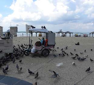 Tel Aviv beach 6