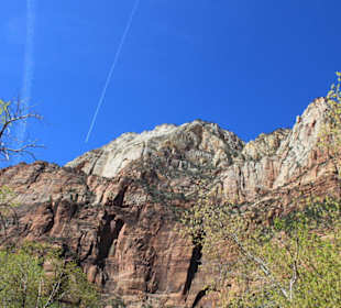 Im Zion Nationalpark