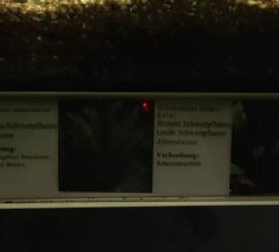 Aquarium