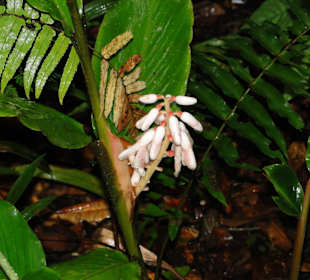 Ausflug Wildfife Expeditions