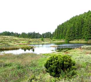 Inselrundfahrt Terceira