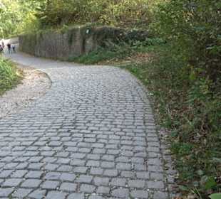 Premiumwanderweg hochgehkeltert Neuffen