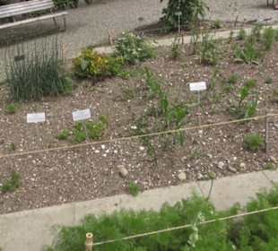Alter botanischer Garten