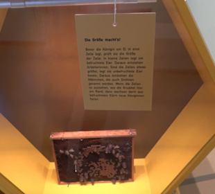 Museum Natur und Mensch