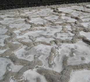 Salzgewinnung bei Fuencaliente