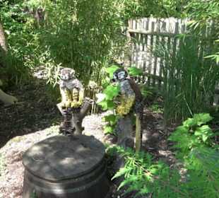 Land der Abenteuer - Dschungel X-pedition