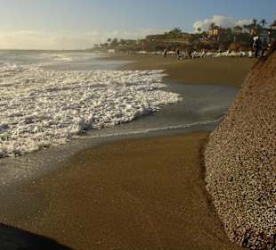 Iberostar Anthelia: Playa del Duque (rechts vom Hotel)