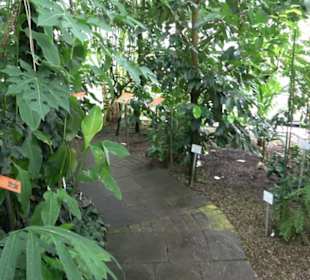 Tropicarium