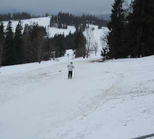 Niebieska Trasa do Kotelnica Express