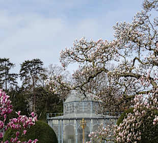 Wilhelma Stuttgart