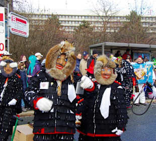 Nürnberger Faschingsumzug 2012