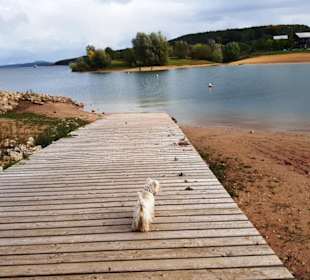 Da schauen wir mal genauer hin