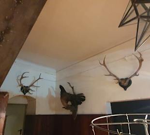 Jagdtrophäen 