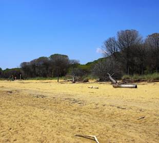 Alles freier Bereich