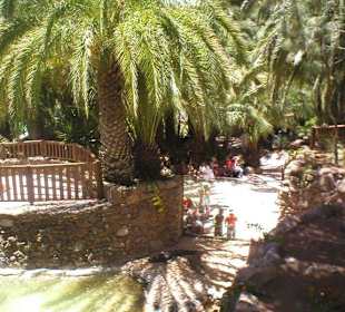 Palmitos Park