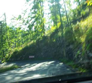 Nur 30KmH erlaubt, auch besser so