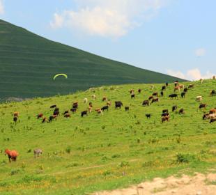 Wandern Tiflis / Tbilisi