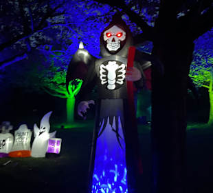 Mondo Verde Halloween