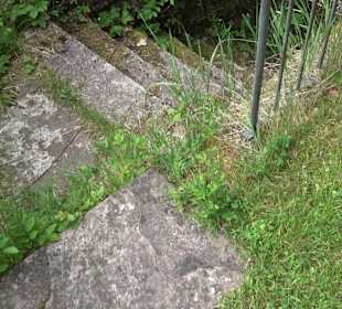 Burgruine Sterneck
