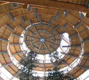 Baumhaus, Höhe 44 m