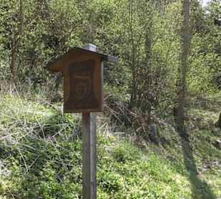 Waldlehrpfad an der Lauter