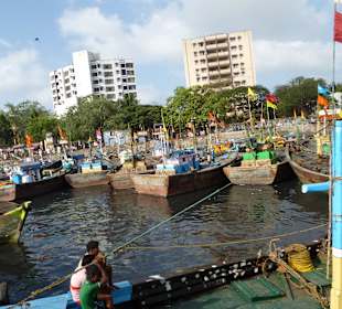 Hier kommt der frische Fisch an