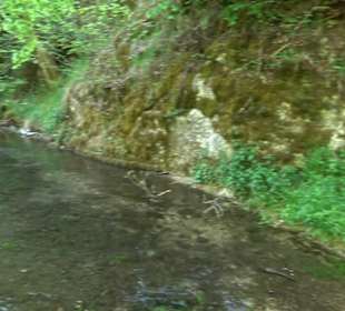 Premiumwanderweg Hochgehschätzt