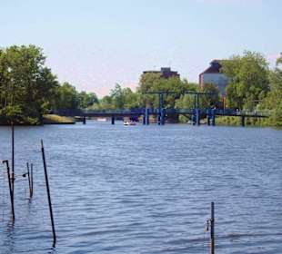 Ein Rundgang durch die "Rosenstadt" im Sommer 