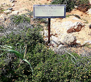 Nationalpark Kap Greco