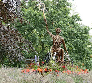 Paralympic Tennis Pkayer