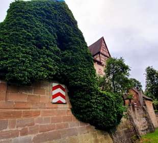 Efeu geschmückt