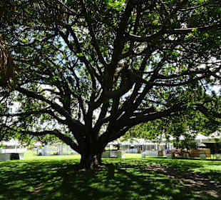 Stadtrundgang Sydney